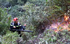 Cháy lớn thiêu rụi hơn 2ha rừng ở Hạ Long