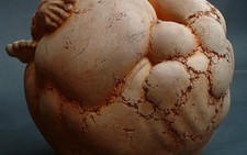 Nghi án đạo điêu khắc: cái chuông hay tiếng chuông?