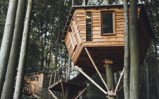 Khám phá khách sạn “tổ chim” trên cây độc đáo ở Đức