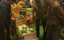 Liên kết để nâng chất nông sản Việt