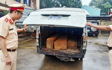 Bắt xe biển xanh ngụy trang xe cấp cứu chở gỗ lậu