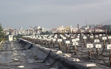 ​Xử lý dioxin, bàn giao đất cho sân bay Đà Nẵng