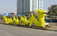 Hải Phòng chỉ đạo tháo bỏ “hoa