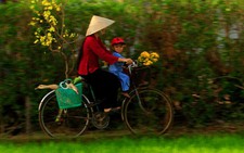Tết 