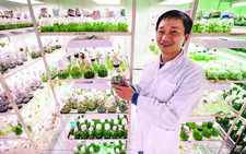 Người “điều khiển” hoa hồng, hoa lan