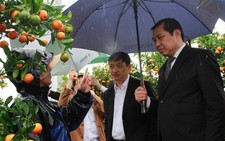 TP Đà Nẵng hỗ trợ tiểu thương chợ hoa tết ế vì mưa