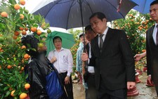 Đà Nẵng: chợ hoa Tết 