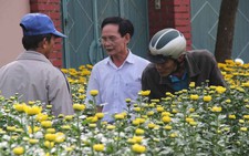 Quảng Ngãi hỗ trợ 50% kinh phí thuê mặt bằng bán hoa Tết