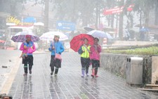 'Mưa vàng, mưa bạc' trút xuống miền Bắc