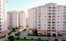Sức mua các dự án nhà đất tăng mạnh