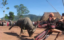 90 làng Cơ Tu bỏ tục đâm trâu