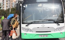 Đảo Cát Bà: Triển khai xe buýt điện miễn phí