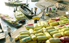 ​Gia hạn thỏa thuận xuất khẩu gạo với Philippines đến năm 2018