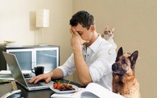 Sao không cho công chức làm việc tại nhà để giảm kẹt xe?