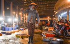 Buồn vui đời gánh cá thuê