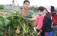 Hơn 1.000 cán bộ, chiến sĩ trẻ hòa cùng Tháng thanh niên