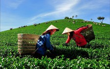 Triển lãm ảnh Hội ngộ tháng 3 giữa cao nguyên Bảo Lộc