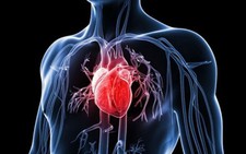 ​Mùa hè nên cẩn thận với các bệnh về tim mạch