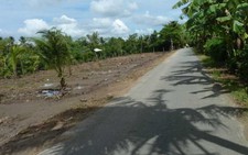 Dân “găm” đất vườn quận 9 chờ giá tăng