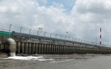 Dân kêu cứu vì ô nhiễm từ nhà máy giấy Lee & Man