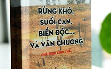 Môi trường kêu gọi, văn chương đáp lời