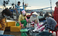 ​Xây dựng cảng cá động lực miền Trung