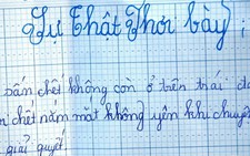 Thủ tướng yêu cầu điều tra vụ bé gái bị xâm hại, uất ức tự tử