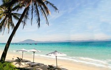 ​Đến biển Dốc Lết ngắm đồi phượng đẹp ngẩn ngơ