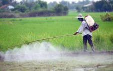Nông nghiệp 'nghiện' hóa chất độc hại