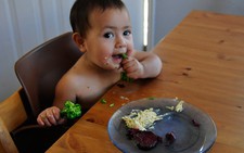 ​Cho trẻ ăn dặm theo phương pháp bé chỉ huy