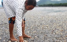 Phải báo cáo nguyên nhân cá chết ở Kiên Giang trước 14-5