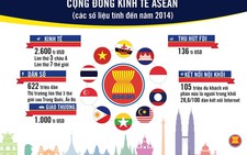 ASEAN không cần theo mô hình của EU