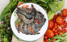 Phơi đất 3 năm để được mẻ rau Co.op Organic