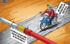 Hàng ngàn người vi phạm trốn đóng phạt, bỏ luôn bằng lái