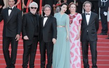 Dàn sao Hoa ngữ trên thảm đỏ Cannes lần thứ 70