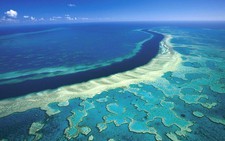 ​Rạn san hô Great Barrier lớn nhất Australia đang 