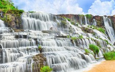 Khám phá Đà Lạt 1 ngày chỉ 140.000đ/người