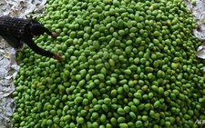 Đảm bảo an toàn thực phẩm bằng công nghệ số
