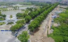 Chặt, di dời 1.300 cây xanh Hà Nội chỉ mới là đề xuất