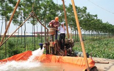 Hải Phòng tạm ngừng cấp phép khai thác nước ngầm