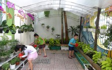 Tăng cường giáo dục về môi trường trong trường học