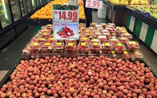 ​Kinh nghiệm doanh nghiệp cần lưu ý khi xuất khẩu vào Australia