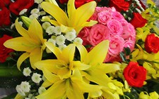 Bút Bi giữ... của riêng!