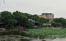 Hà Nội thanh tra biệt thự 'mọc' trên đất cây xanh