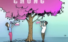 Tình lấp lánh mấy cũng qua đi