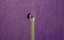Ảnh thiên nhiên tuyệt đẹp cuộc thi ảnh National Geographic