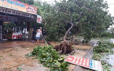 ​Bão số 2 làm 9 người chết và mất tích