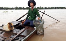 Lũ lụt và sự phát triển bền vững