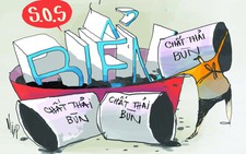 Sẽ cho đổ thêm 2,4 triệu tấn chất thải