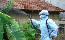 ​Nhận diện muỗi truyền sốt xuất huyết